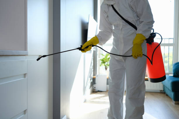 Professional Mold Removal in Loveland Park, OH