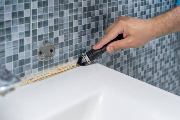 Best Emergency Mold Removal  in Loveland Park, OH